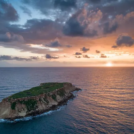 Olivetta Kato Yialia