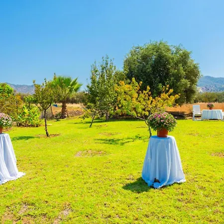 Olivetta * Kato Yialia