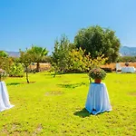 Olivetta * Paphos