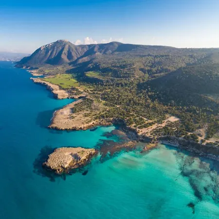 Olivetta * Kato Yialia