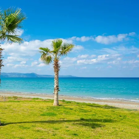 Olivetta Paphos