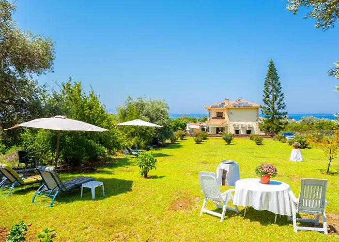 Olivetta * Kato Yialia