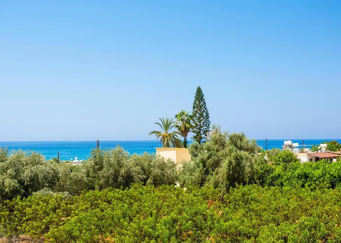 Villa Olivetta Paphos