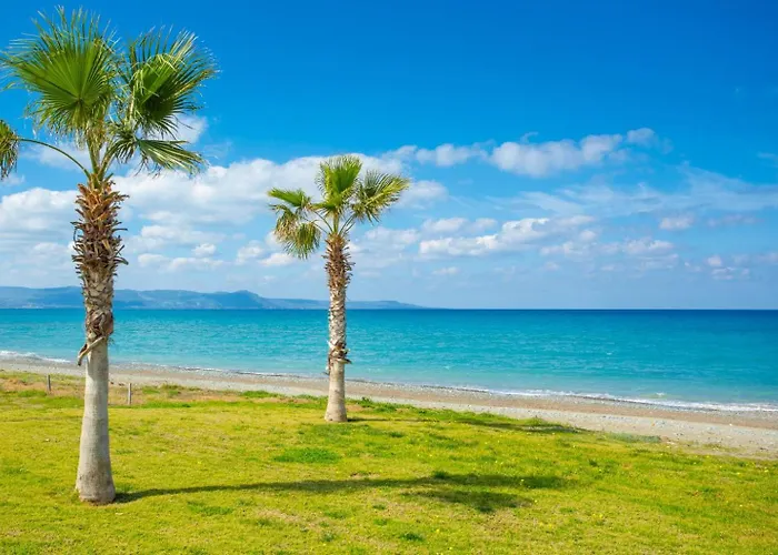 Olivetta Paphos